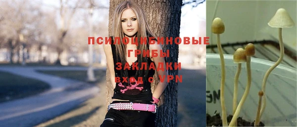 эйфоретик Армянск