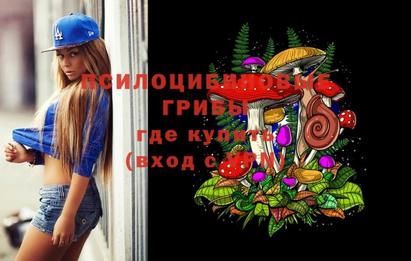 марки lsd Пересвет