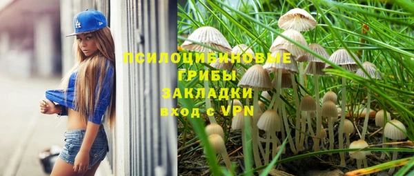 меф Арсеньев