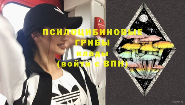 ECSTASY Аркадак