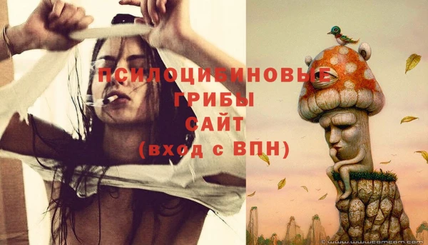 меф Арсеньев