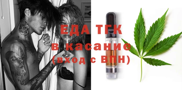 дживик Тында